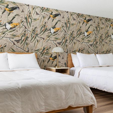 The Windmoor Lodge Grayling Room photo