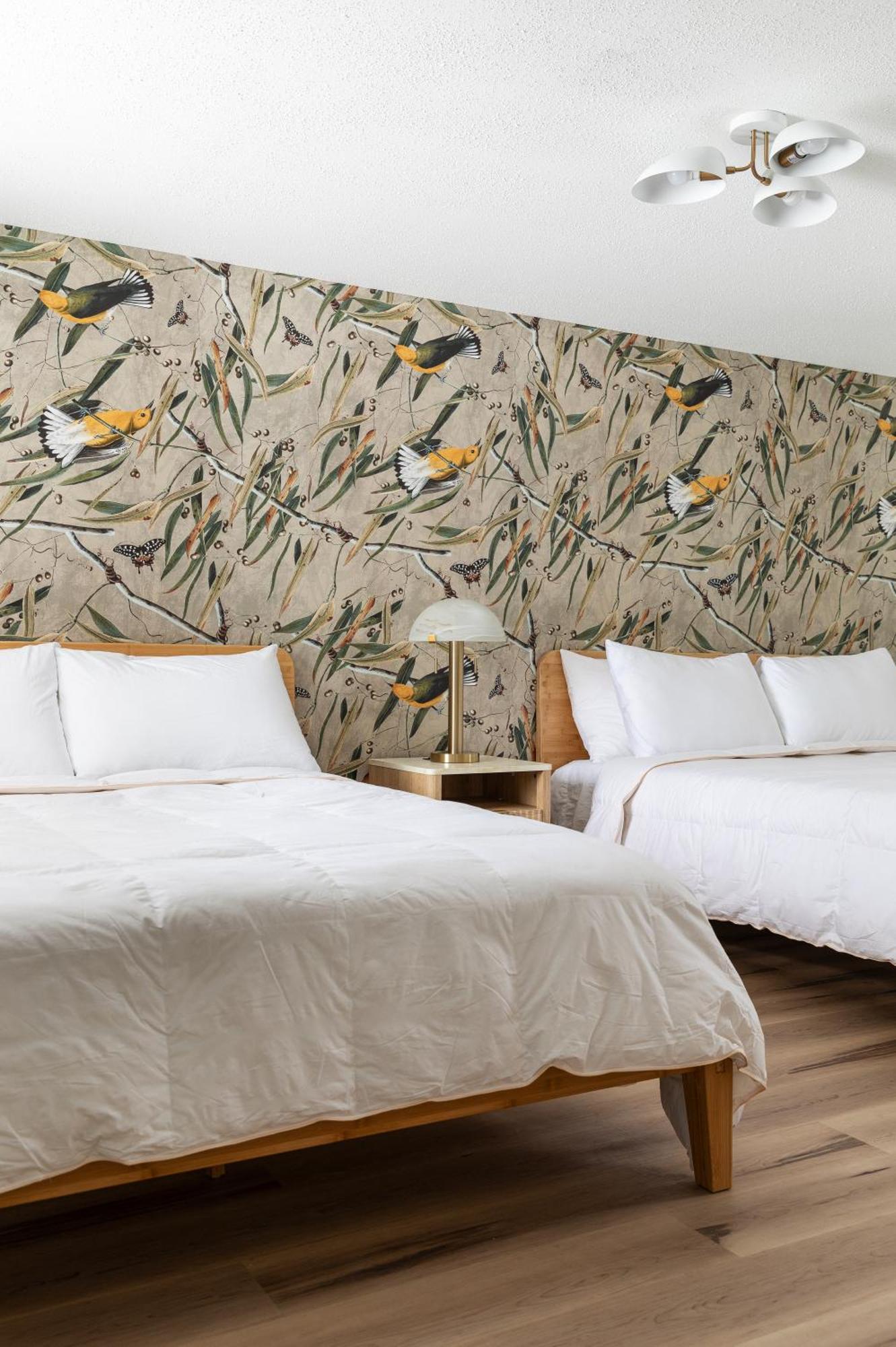 The Windmoor Lodge Grayling Room photo